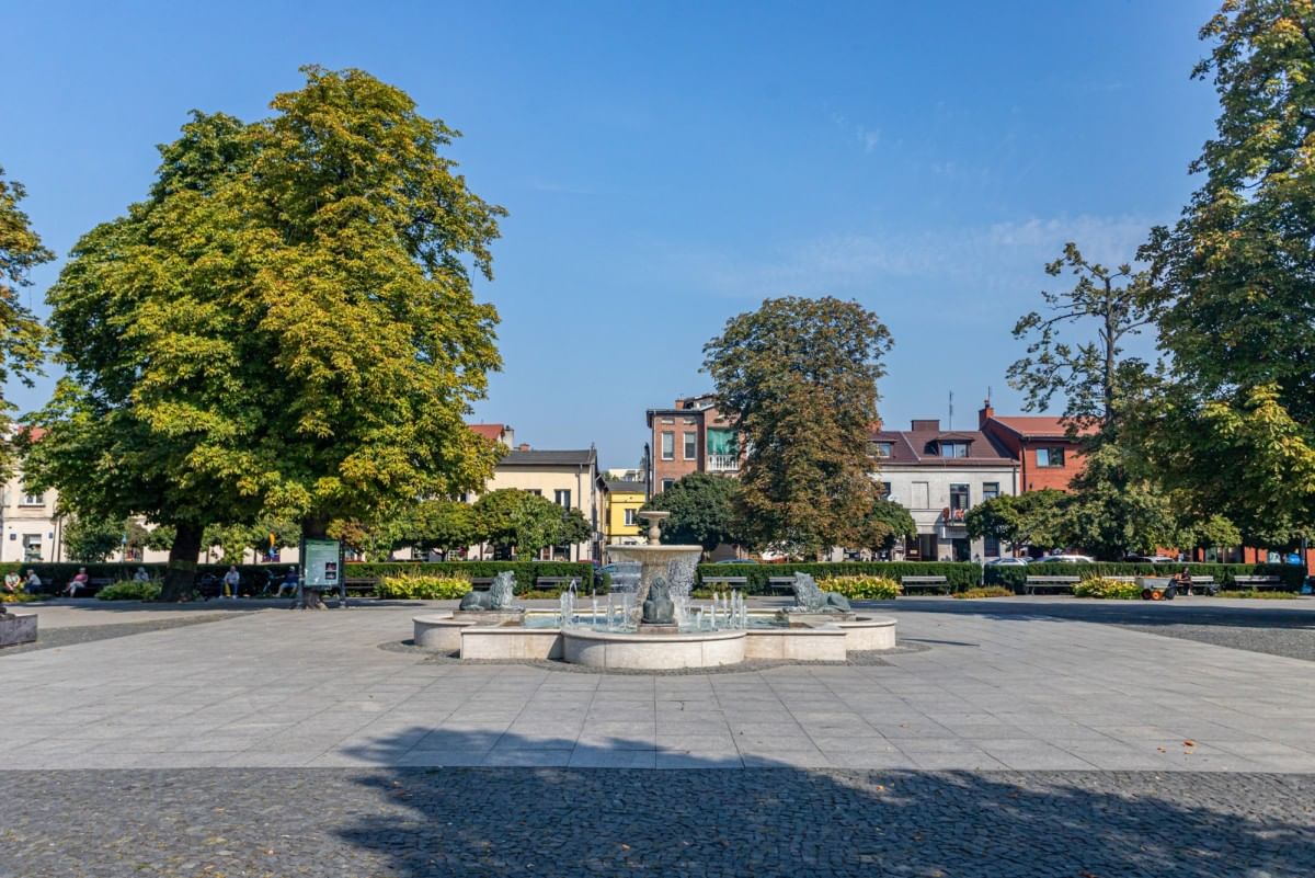 Dom 5 pokojowe na Sprzedaż