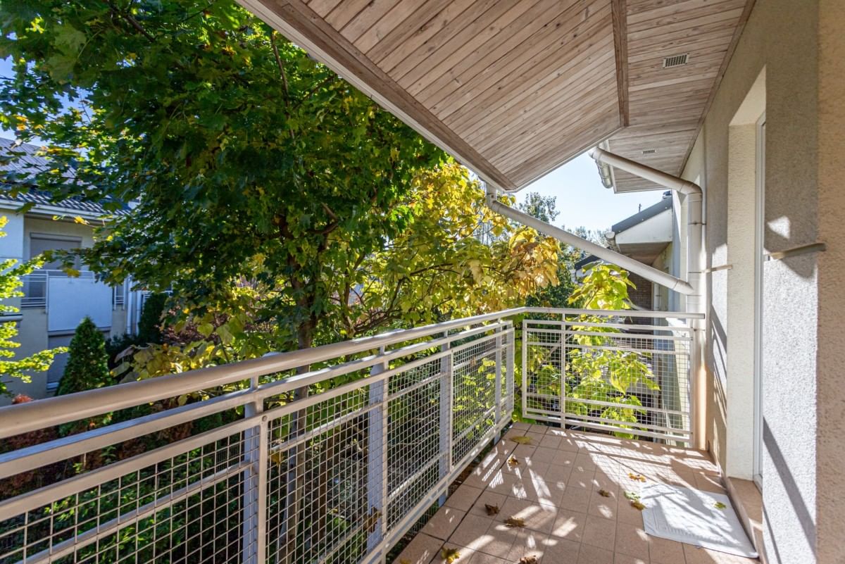 Dom 6 pokojowe na Wynajem