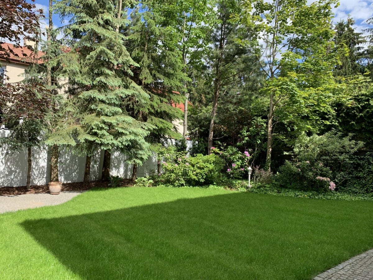 Dom 7 pokojowe na Sprzedaż