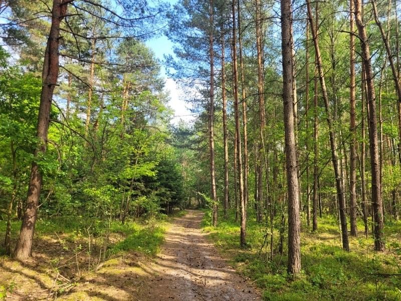 Dom 3 pokojowe na Sprzedaż
