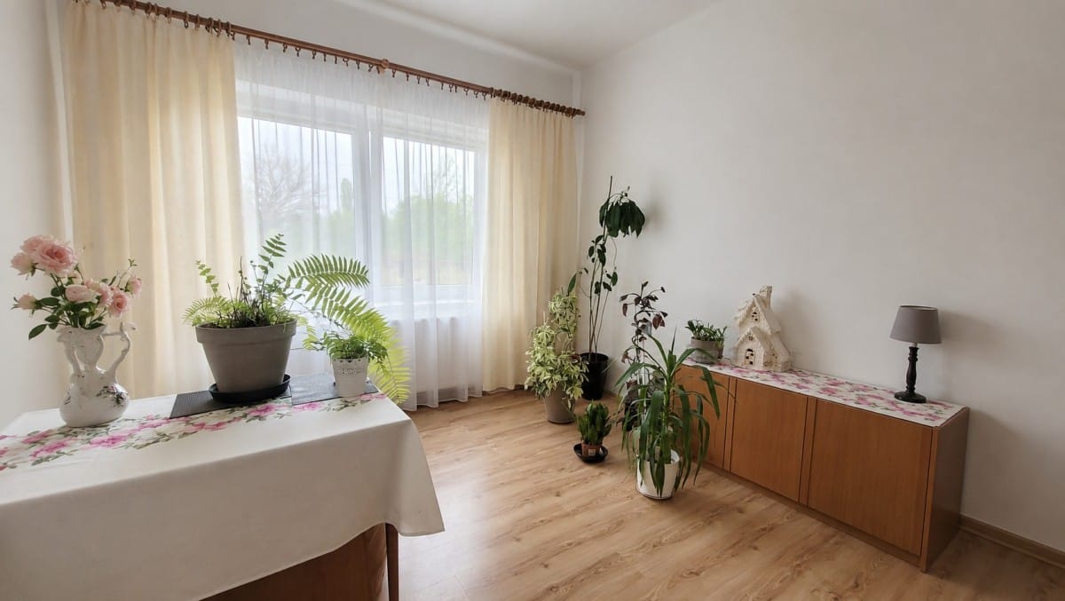 Dom 6 pokojowe na Sprzedaż