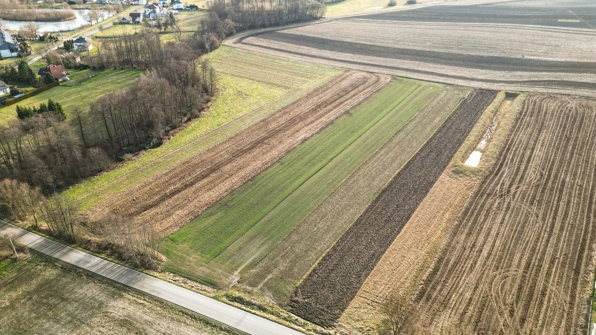 Działka  pokojowe na Sprzedaż