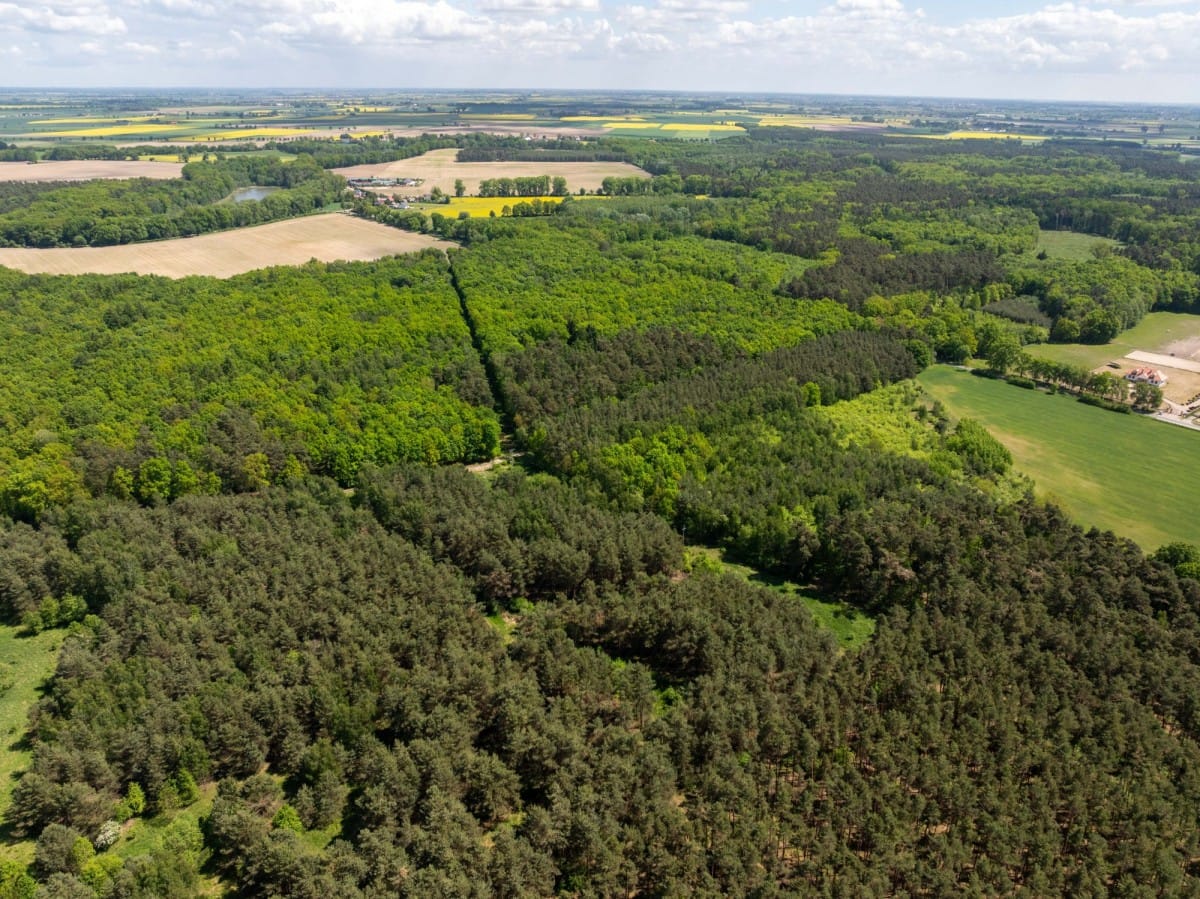 Działka  pokojowe na Sprzedaż