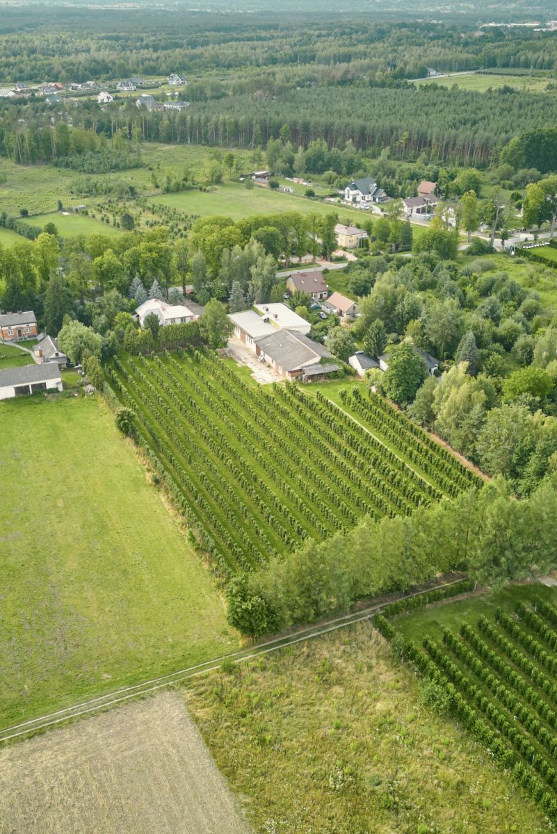 Lokal użytkowy  pokojowe na Sprzedaż