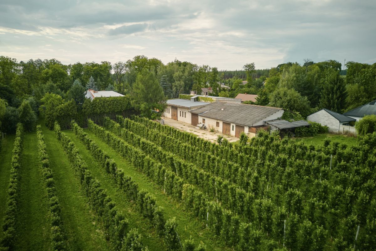 Lokal użytkowy  pokojowe na Sprzedaż