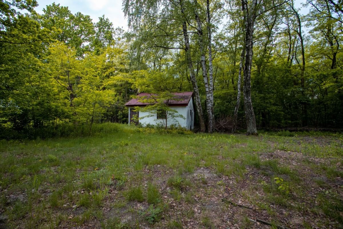 Dom 5 pokojowe na Sprzedaż