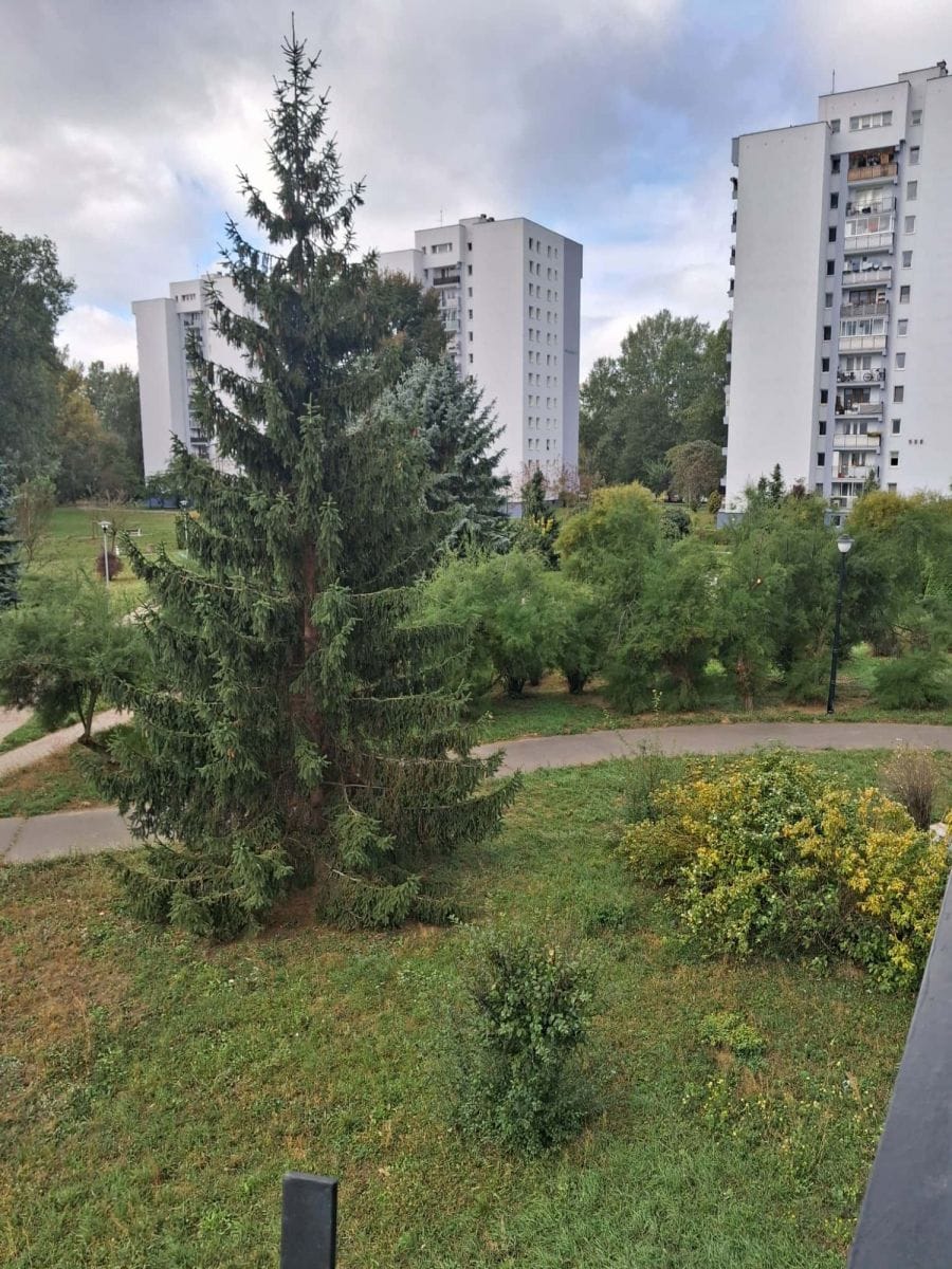 Mieszkanie 3 pokojowe na Sprzedaż