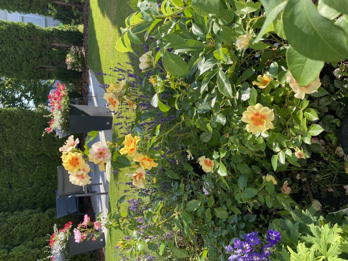 Dom 6 pokojowe na Sprzedaż