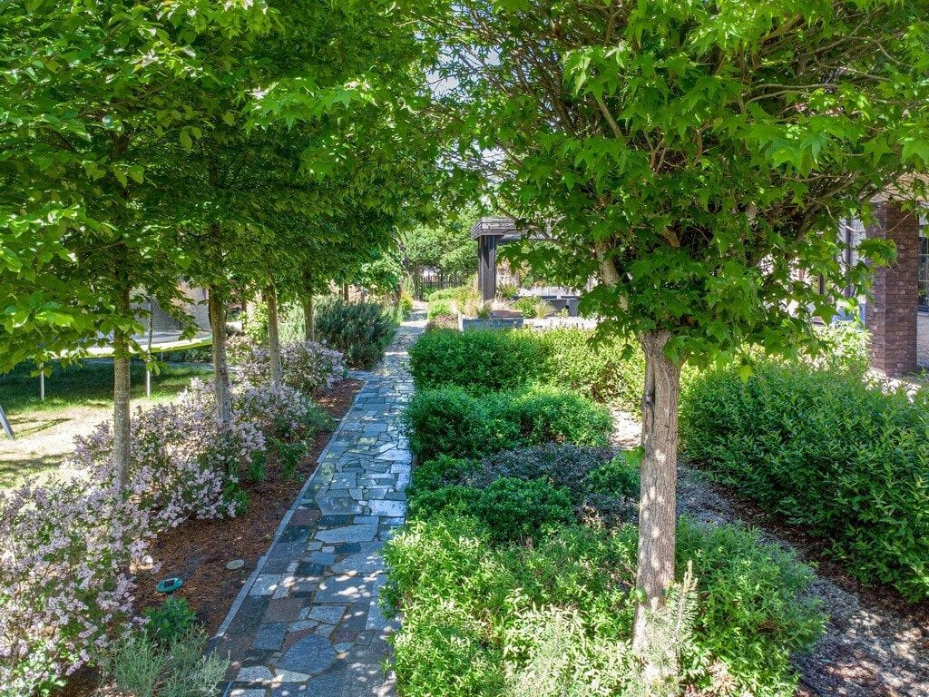 Dom 6 pokojowe na Sprzedaż