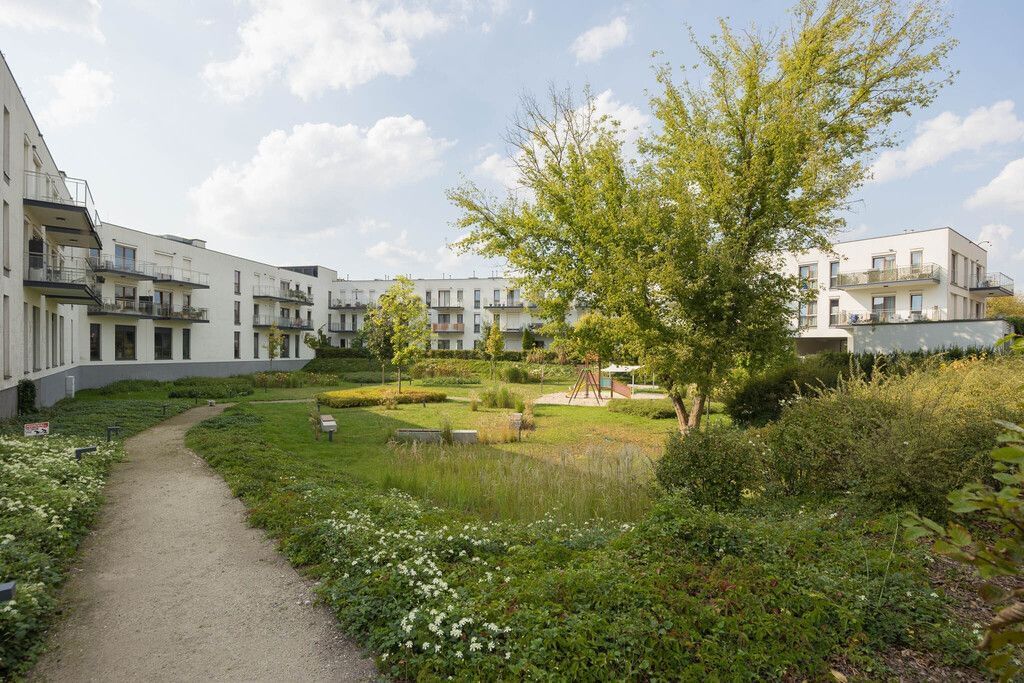 Lokal użytkowy  pokojowe na Wynajem