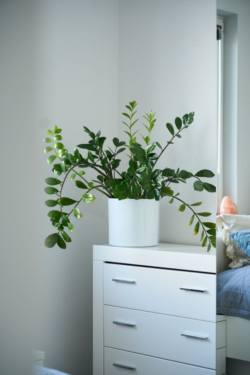 Mieszkanie 4 pokojowe na Sprzedaż