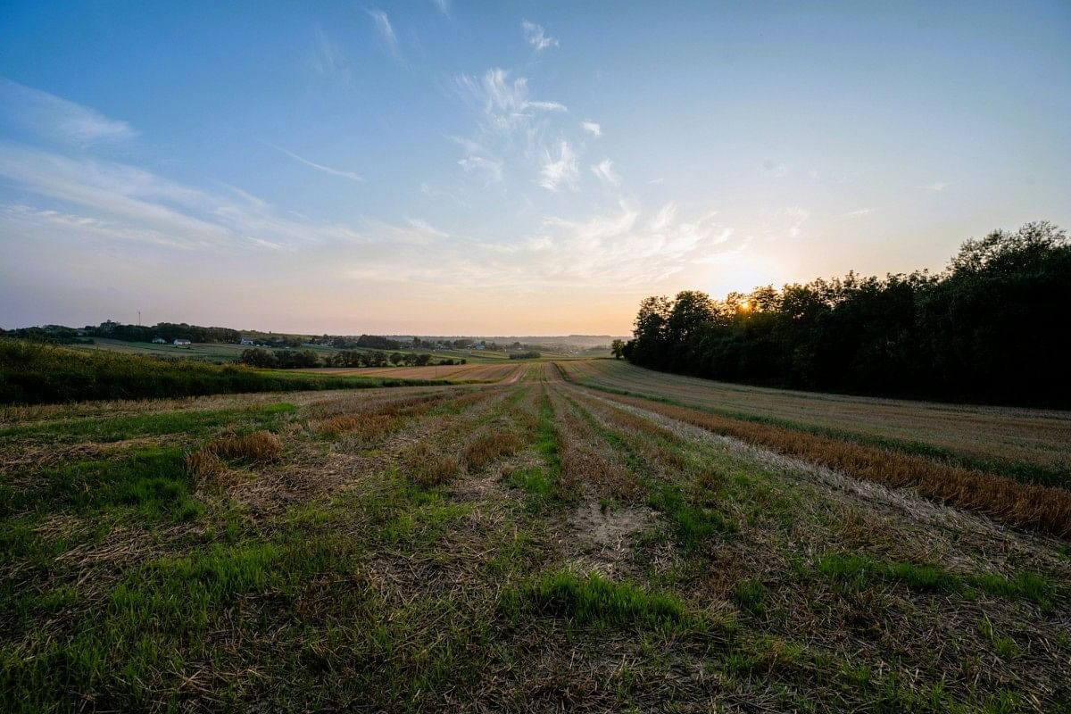 Dom 5 pokojowe na Sprzedaż