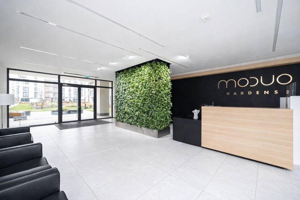 Mieszkanie 3 pokojowe na Wynajem