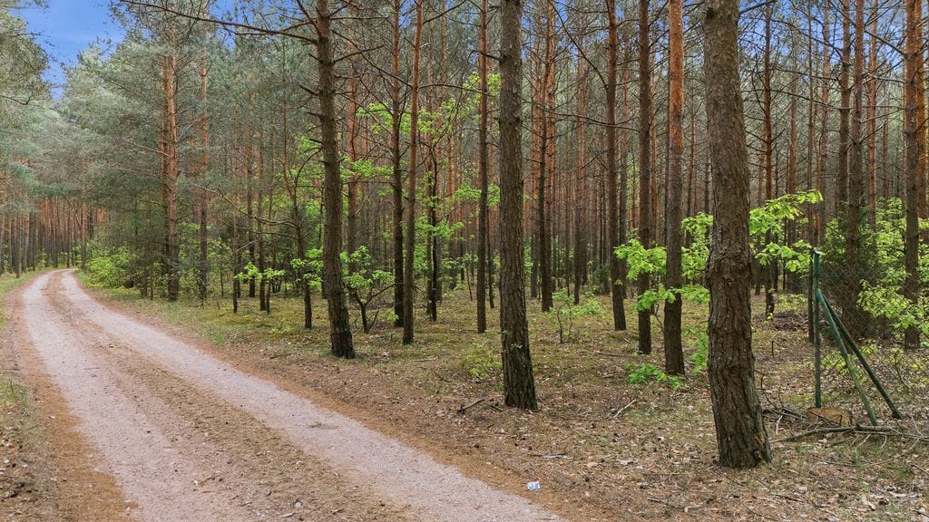 Działka  pokojowe na Sprzedaż