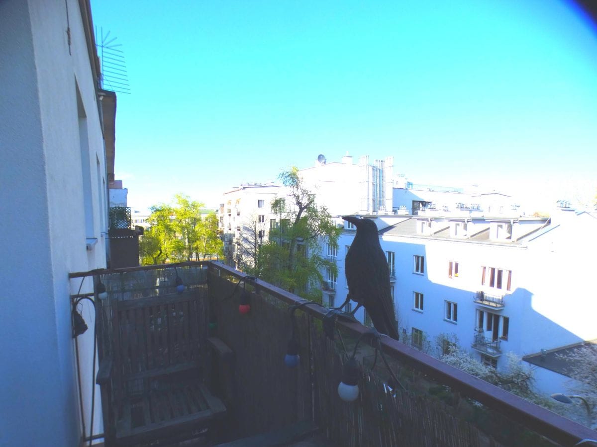 Mieszkanie 2 pokojowe na Wynajem