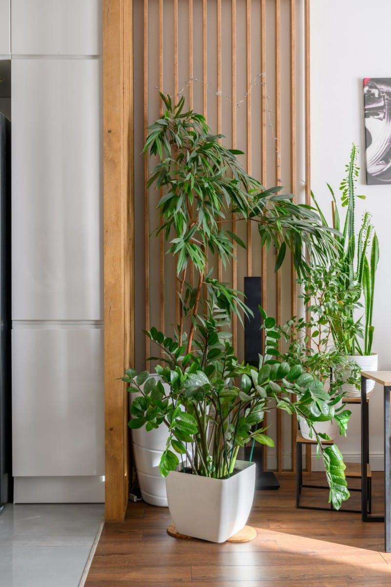 Mieszkanie 4 pokojowe na Sprzedaż