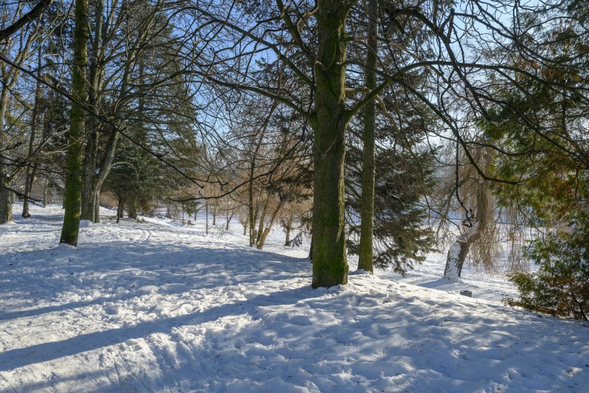 Mieszkanie 3 pokojowe na Wynajem
