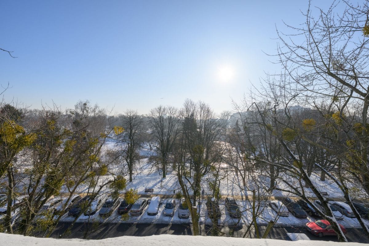 Mieszkanie 3 pokojowe na Wynajem