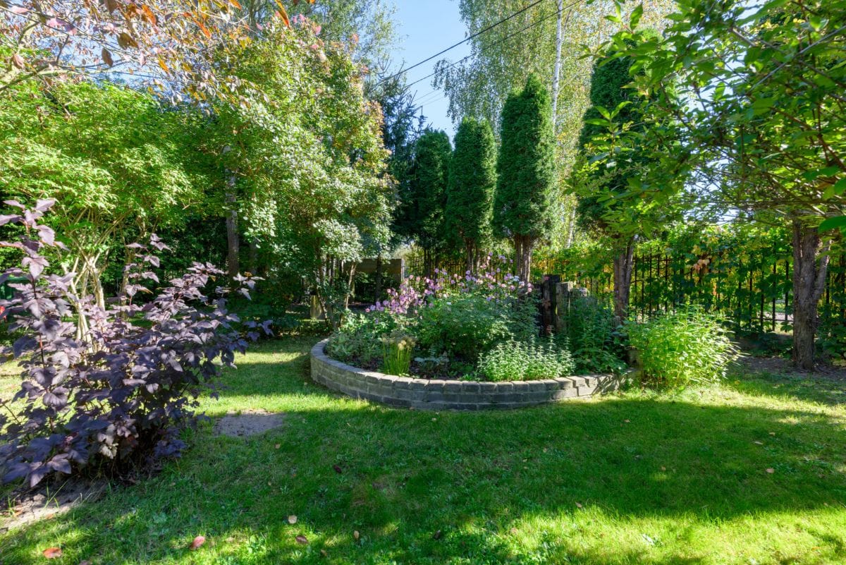 Dom 4 pokojowe na Sprzedaż