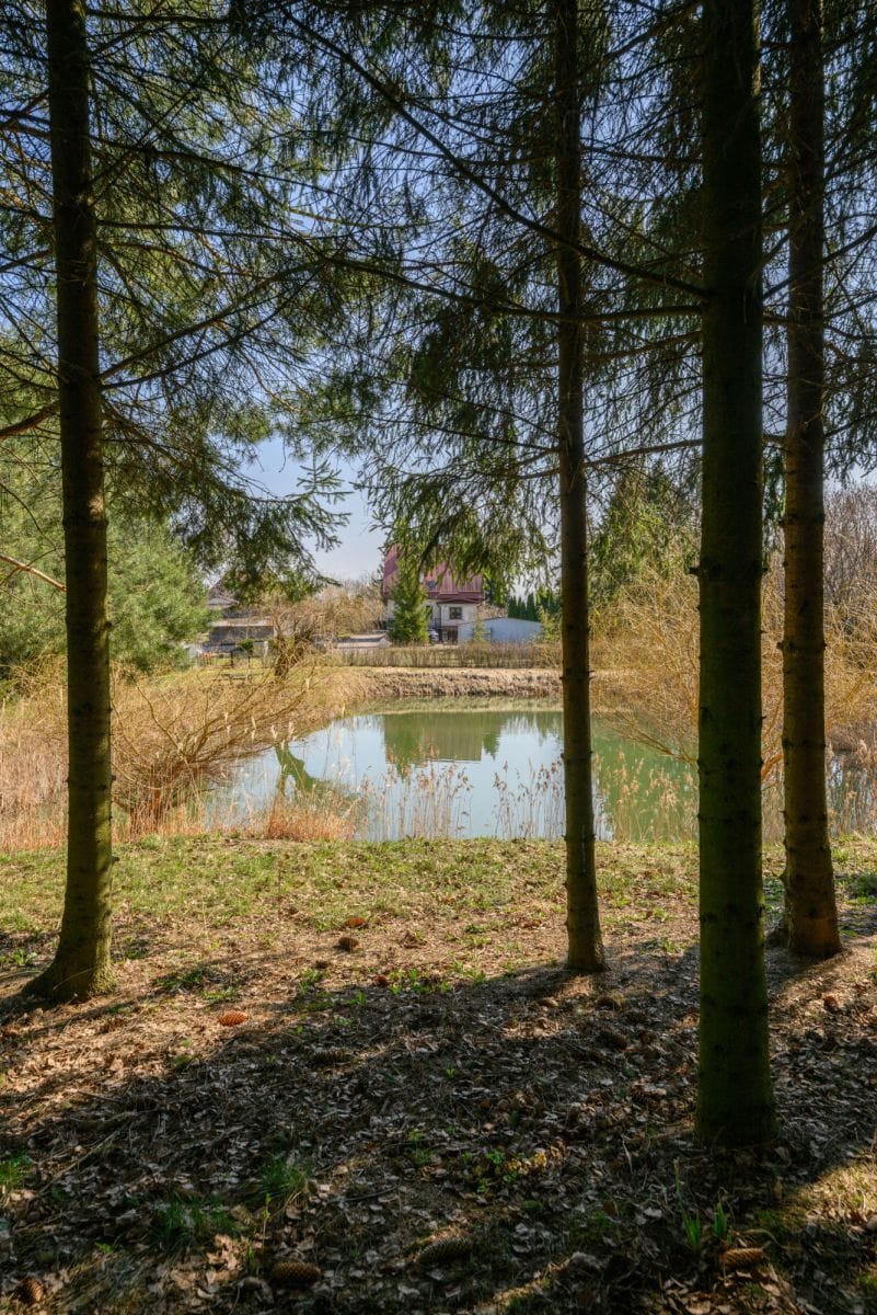 Dom 5 pokojowe na Sprzedaż