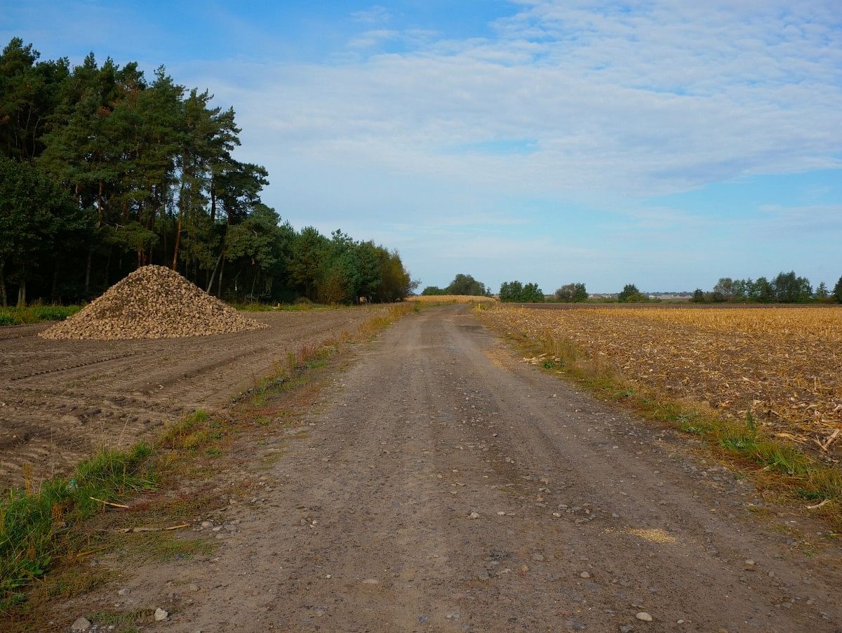 Działka  pokojowe na Sprzedaż