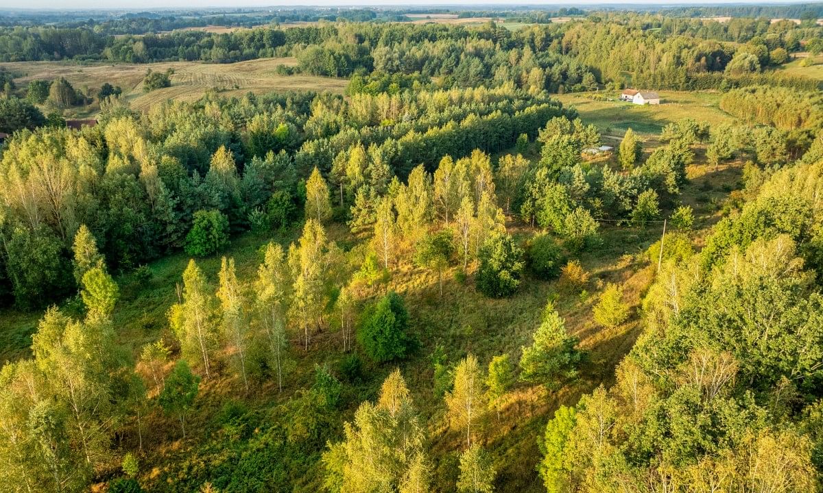 Działka  pokojowe na Sprzedaż