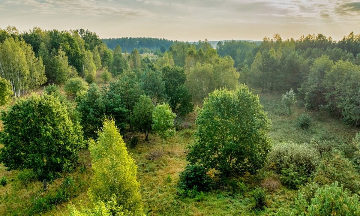 Działka  pokojowe na Sprzedaż