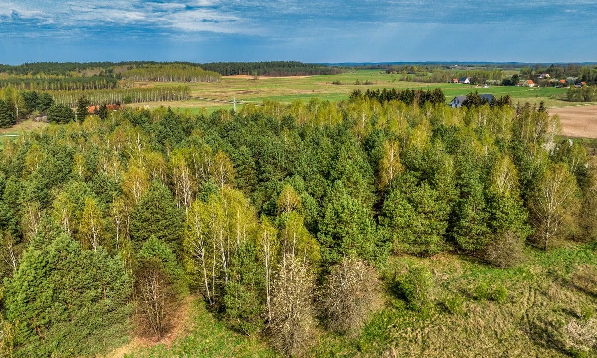 Działka  pokojowe na Sprzedaż