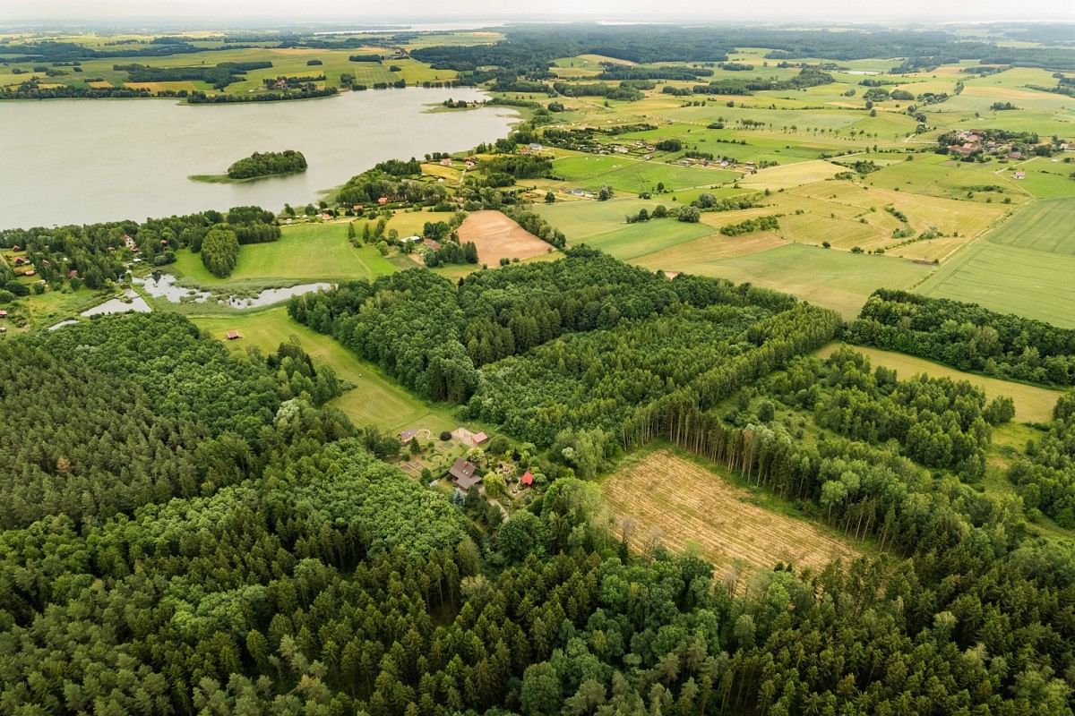 Dom 5 pokojowe na Sprzedaż