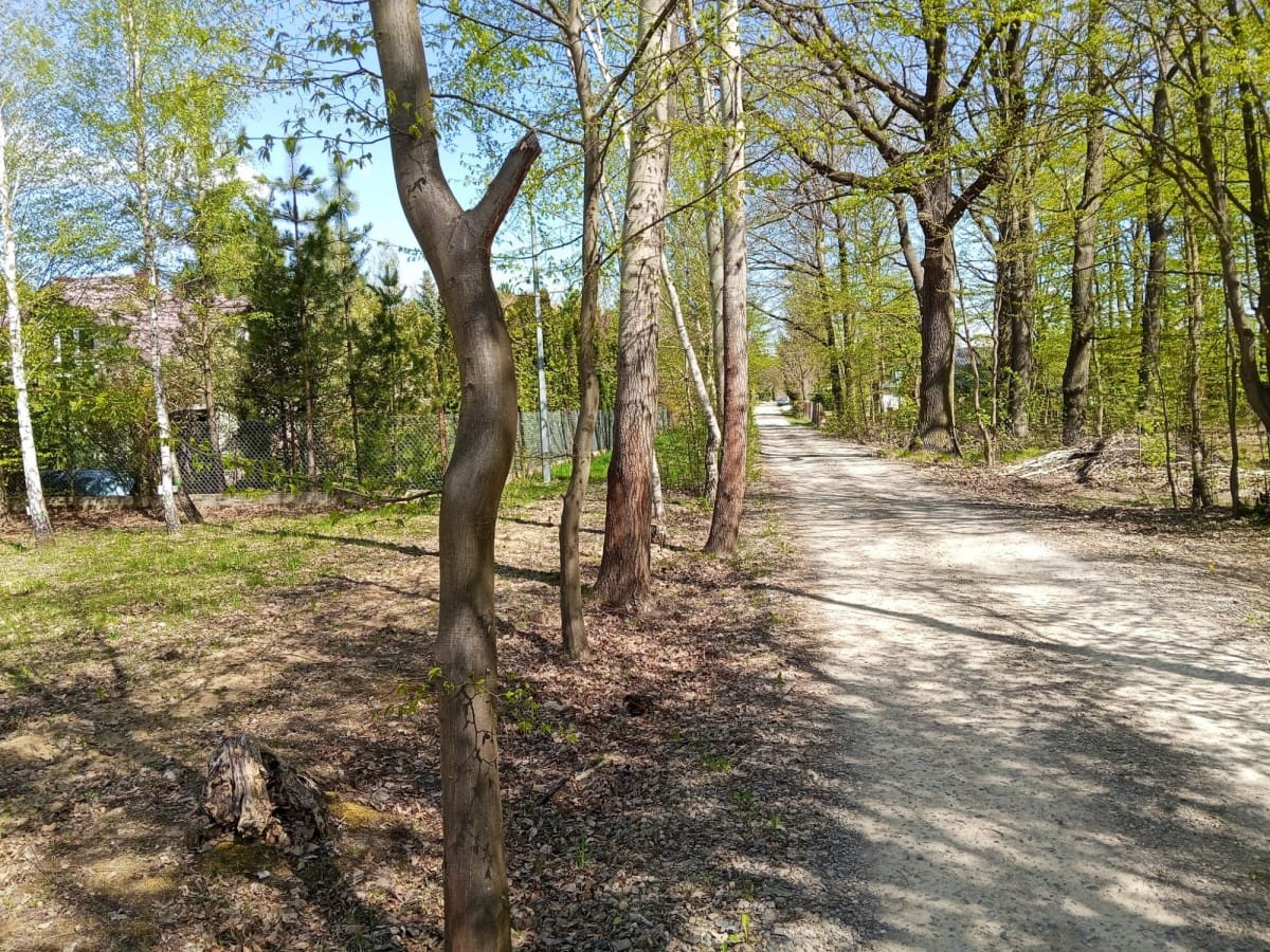 Działka  pokojowe na Sprzedaż