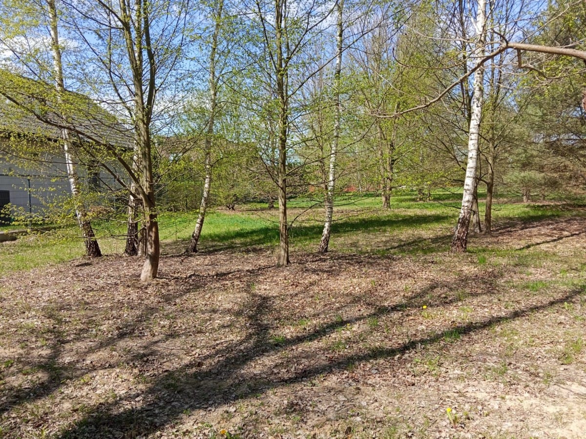Działka  pokojowe na Sprzedaż