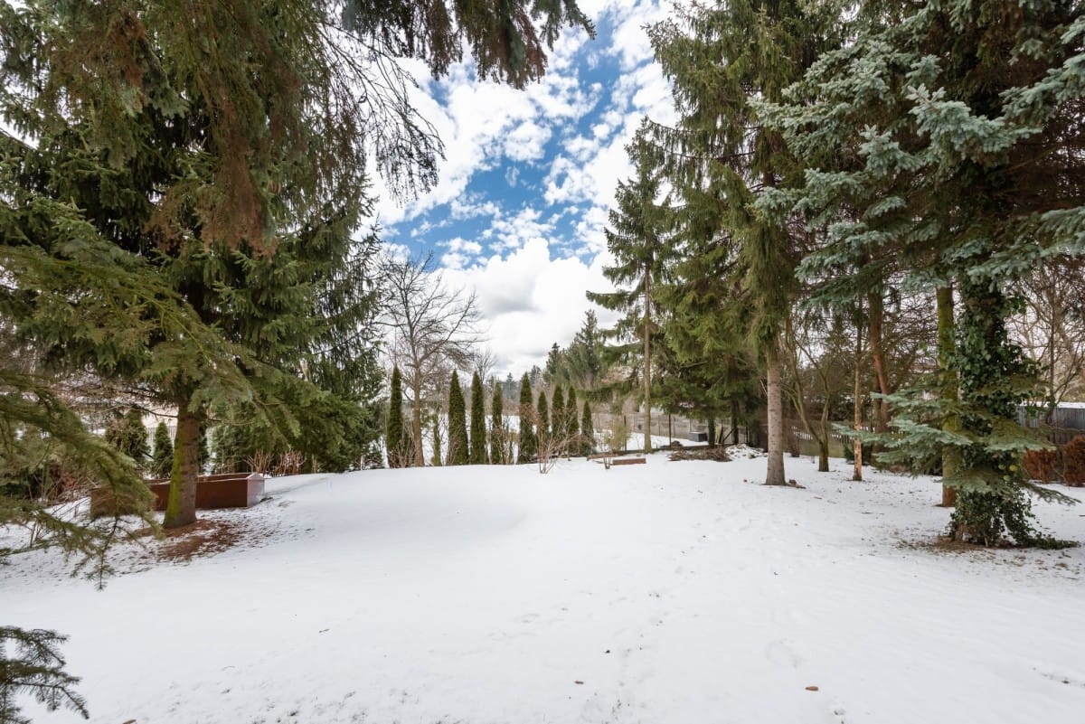 Dom 7 pokojowe na Sprzedaż