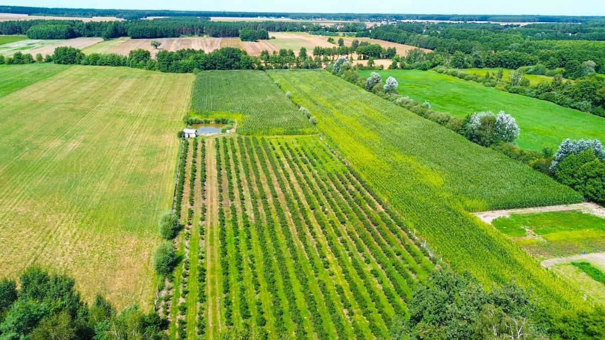 Działka  pokojowe na Sprzedaż