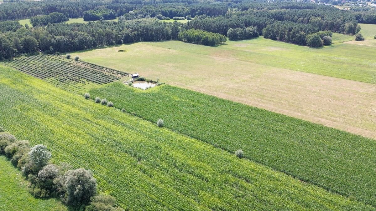 Działka  pokojowe na Sprzedaż