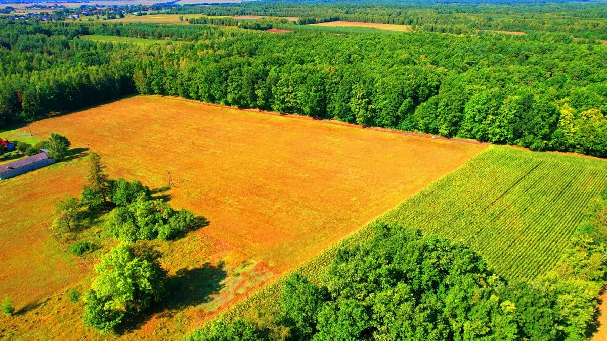 Działka  pokojowe na Sprzedaż