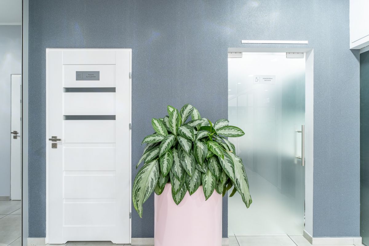 Lokal użytkowy  pokojowe na Wynajem