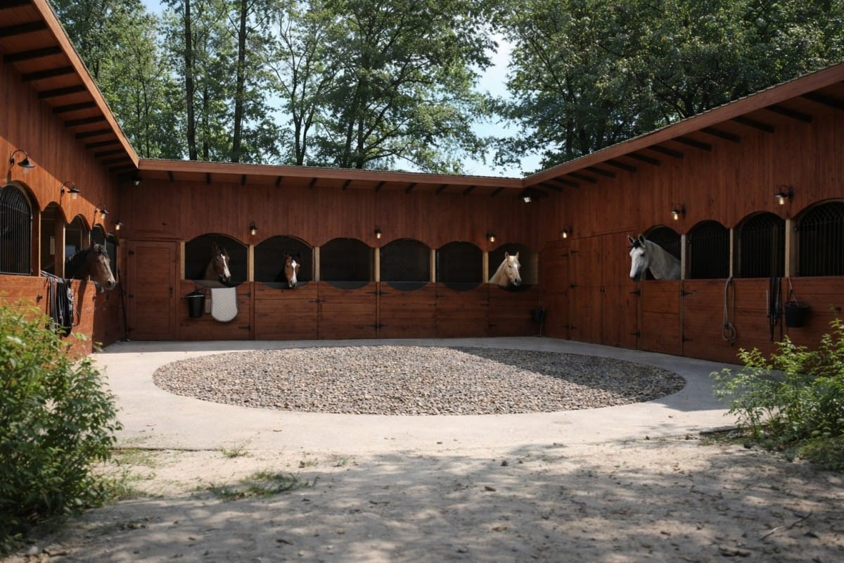 Dom 10 pokojowe na Sprzedaż