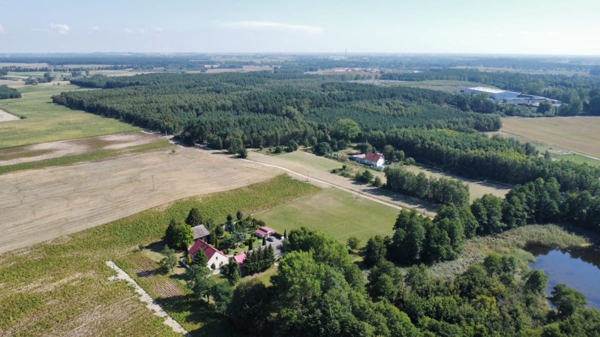 Dom 5 pokojowe na Wynajem