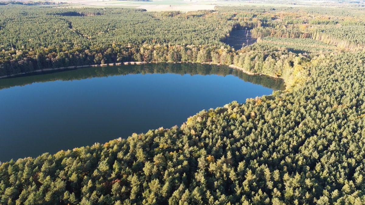 Dom 3 pokojowe na Sprzedaż