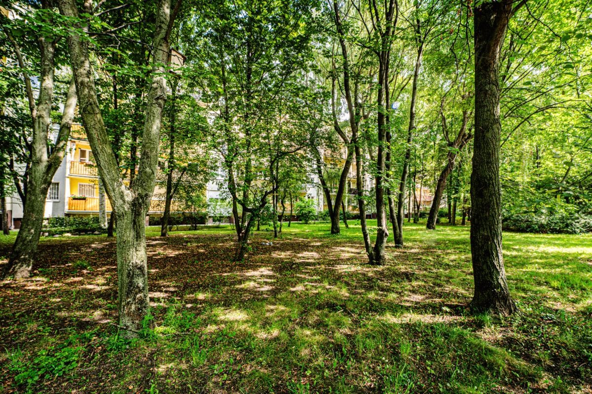 Mieszkanie 4 pokojowe na Sprzedaż