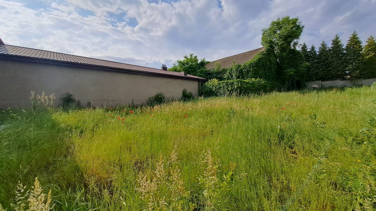 Dom 6 pokojowe na Sprzedaż