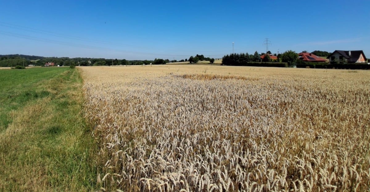 Działka  pokojowe na Sprzedaż