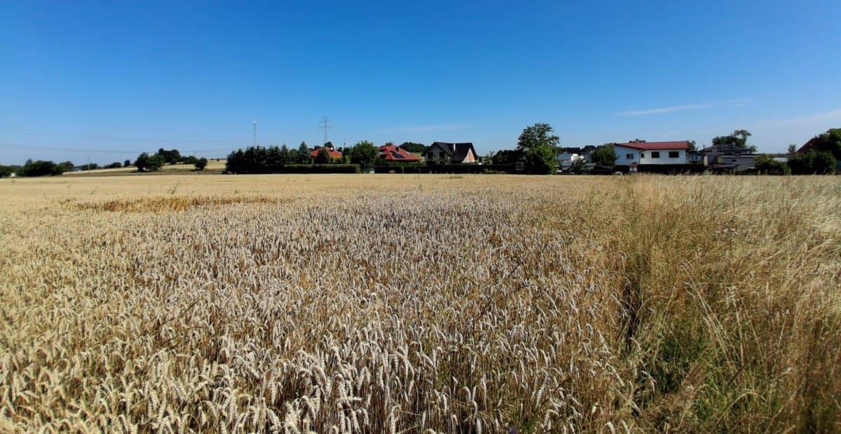 Działka  pokojowe na Sprzedaż