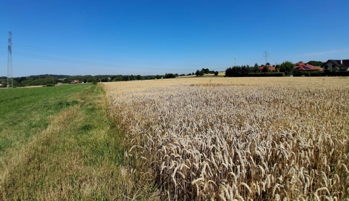 Działka  pokojowe na Sprzedaż