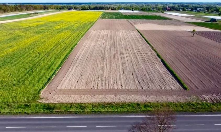 Działka  pokojowe na Sprzedaż