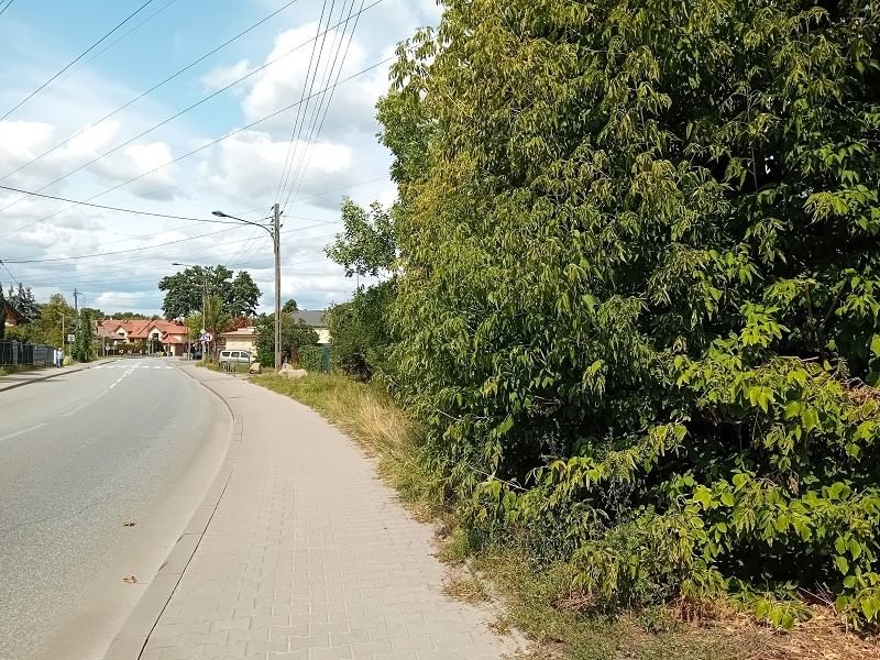 Działka  pokojowe na Sprzedaż