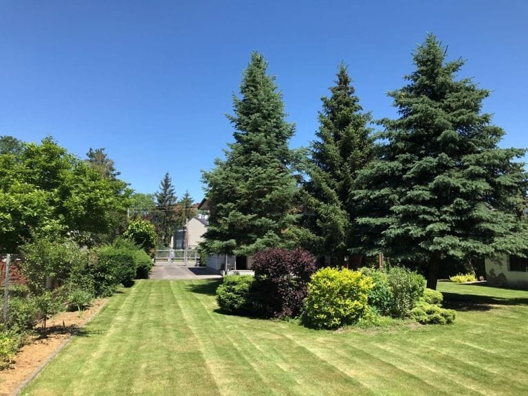 Dom 5 pokojowe na Sprzedaż