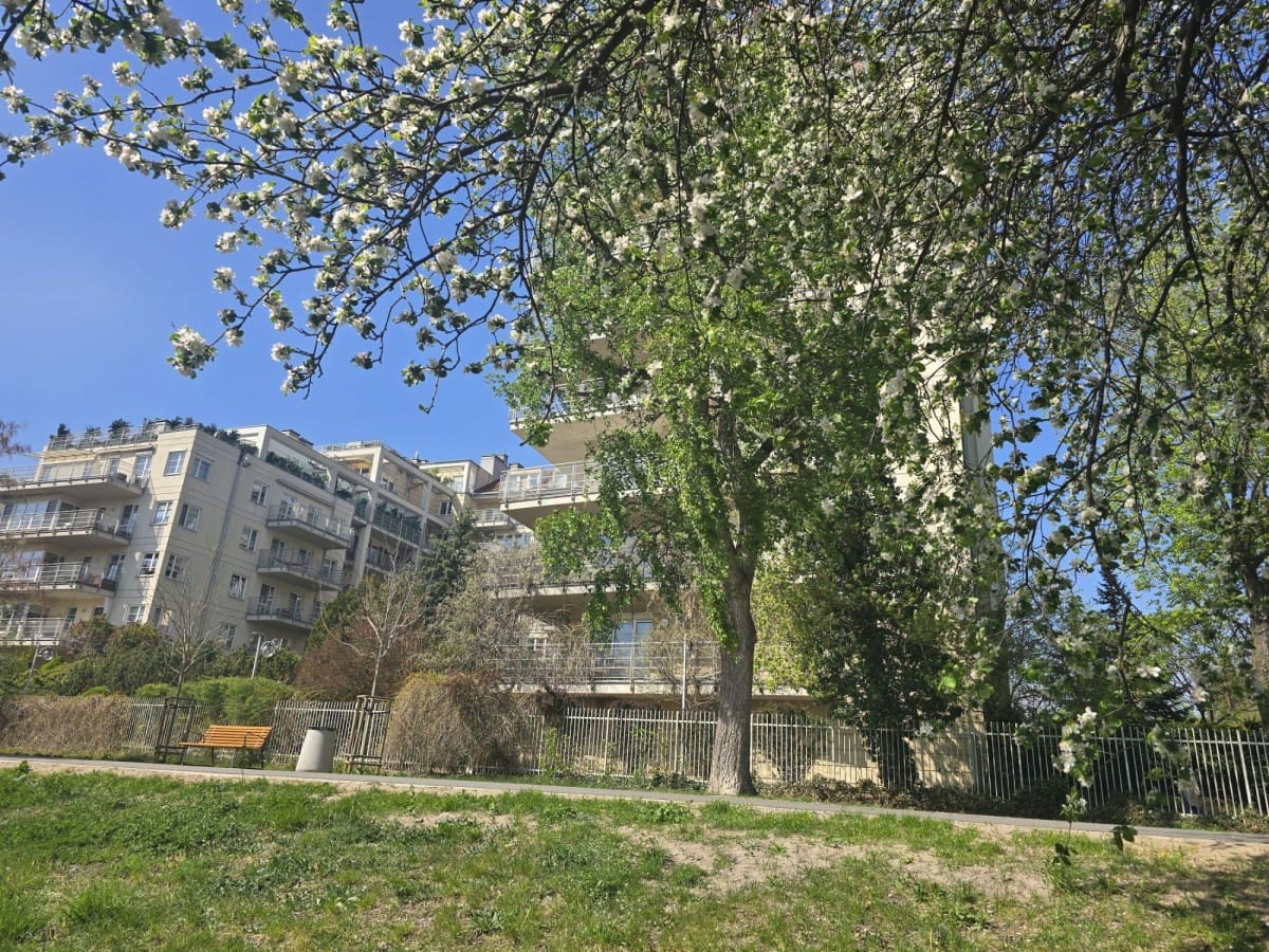 Mieszkanie 4 pokojowe na Wynajem
