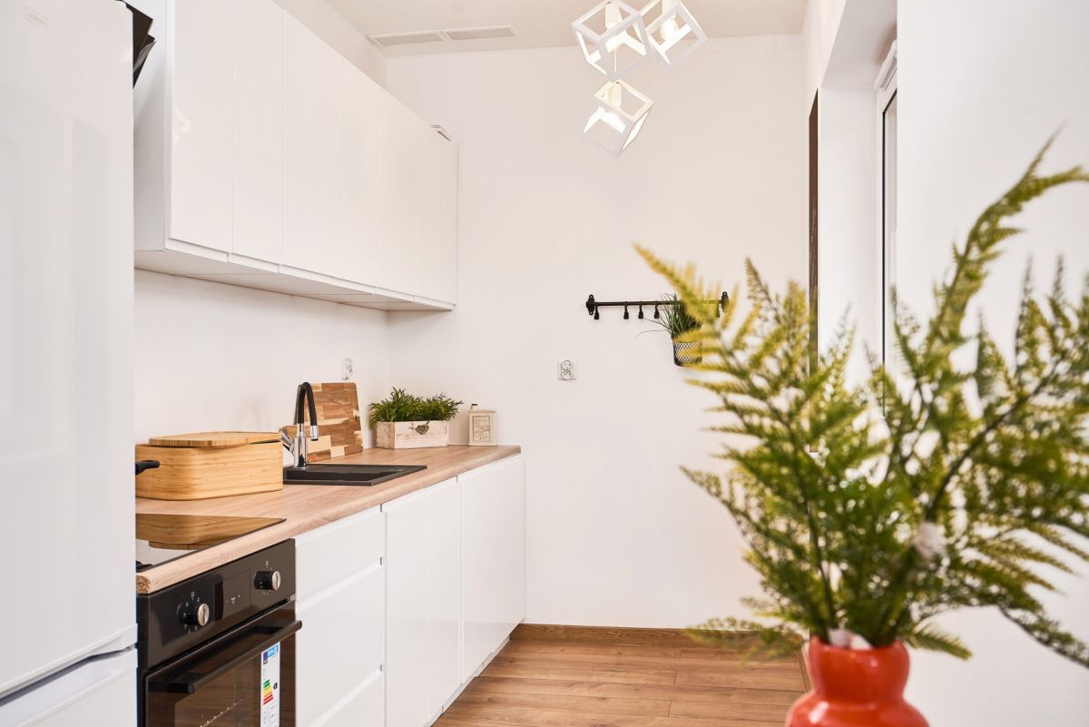 Mieszkanie 1 pokojowe na Wynajem