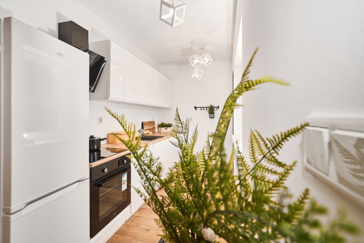 Mieszkanie 1 pokojowe na Wynajem